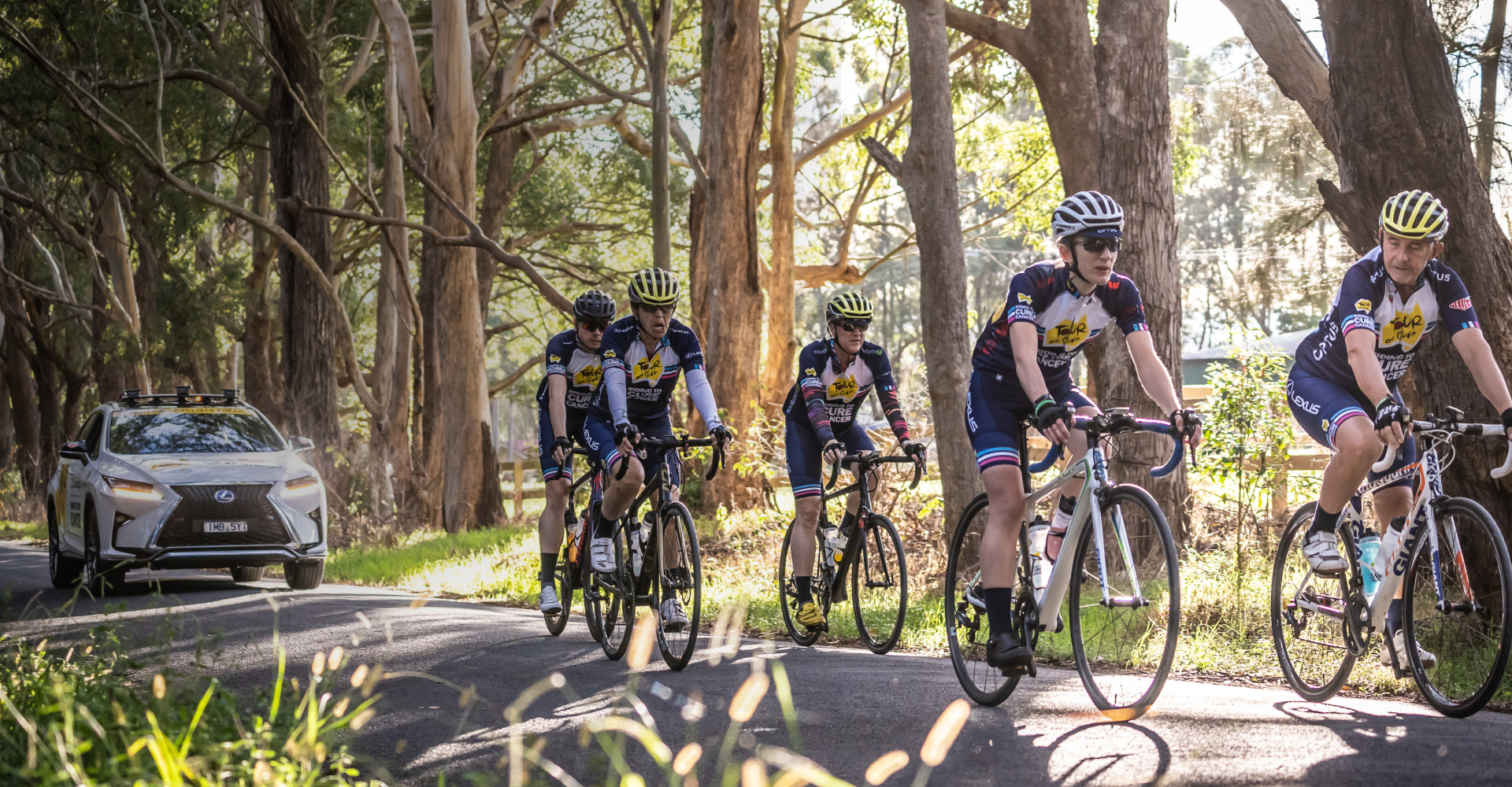 Tour de Cure, Lexus, Cycling, Partnerships