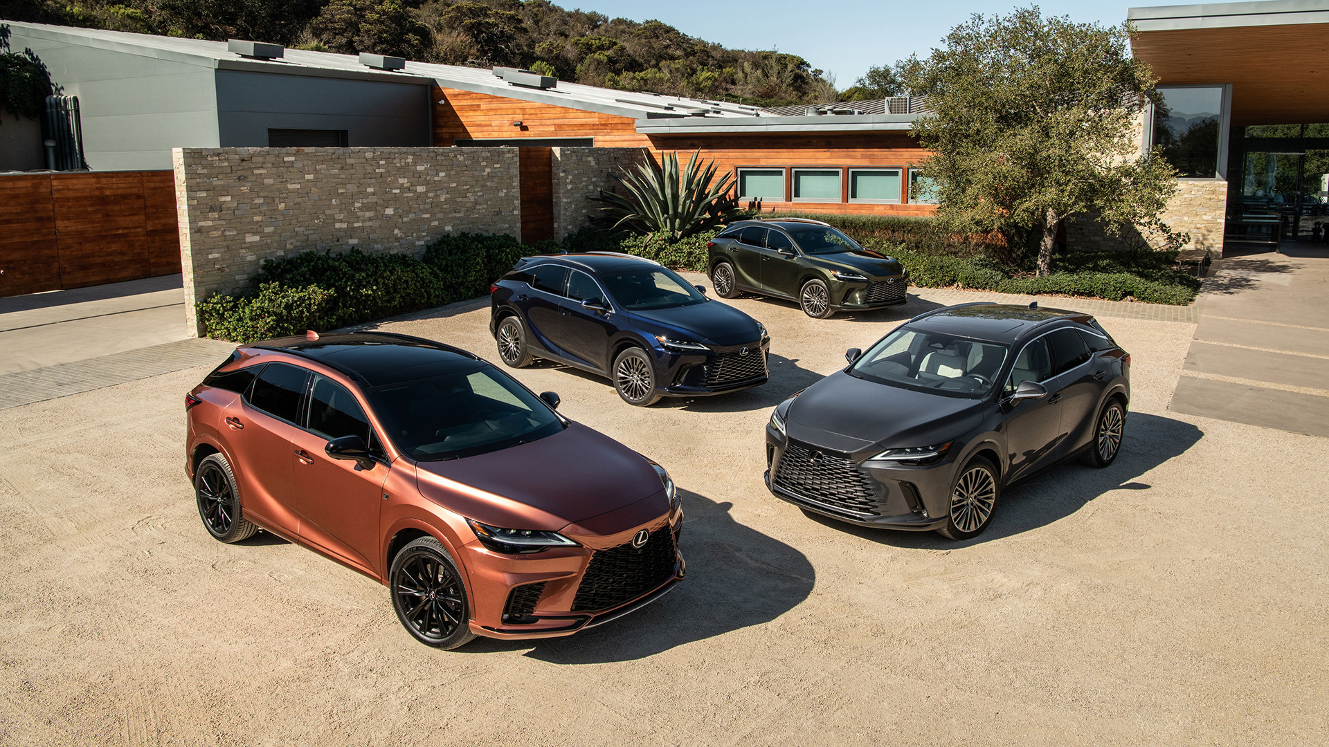 A group of 2023 Lexus RX models.