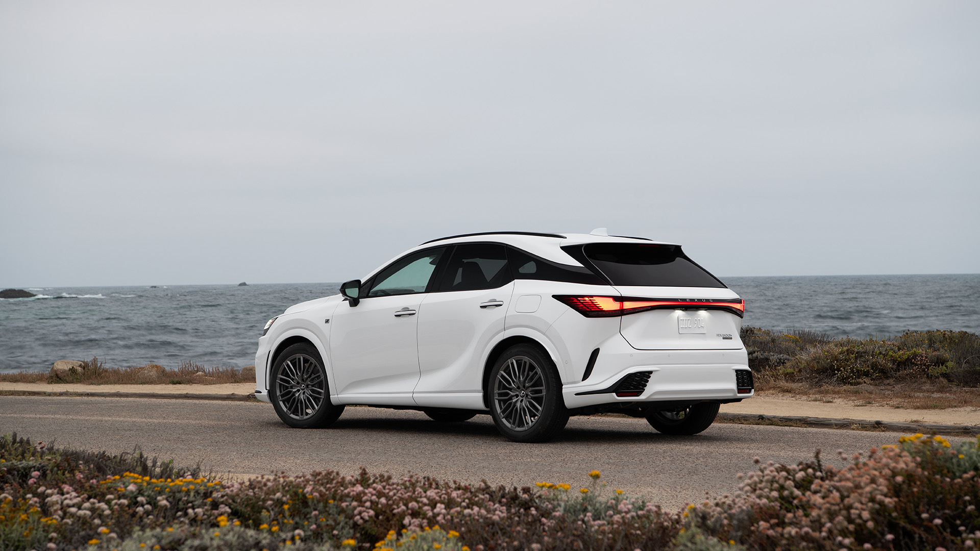 The rear of a White 2023 Lexus RX.